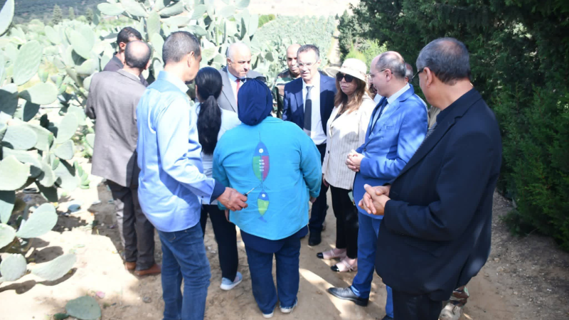 أحدث الأخبار