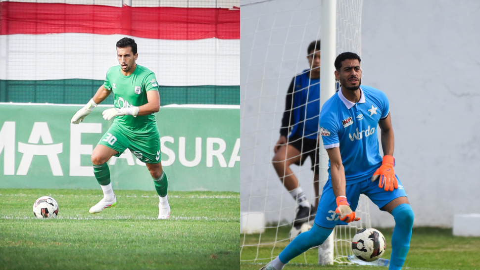 عنوان المقال