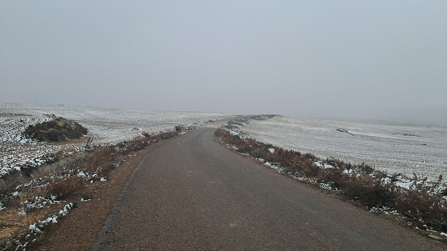 عنوان المقال