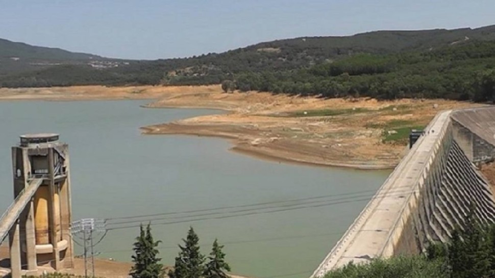 أحدث الأخبار