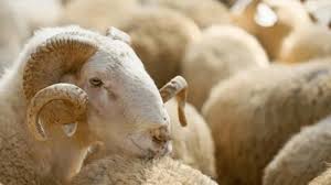 أحدث الأخبار