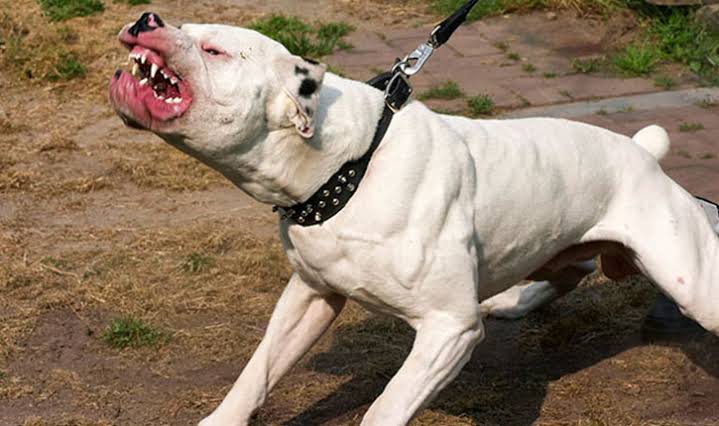 أحدث الأخبار