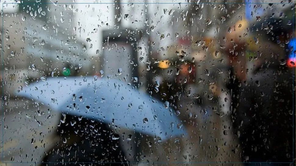 أحدث الأخبار