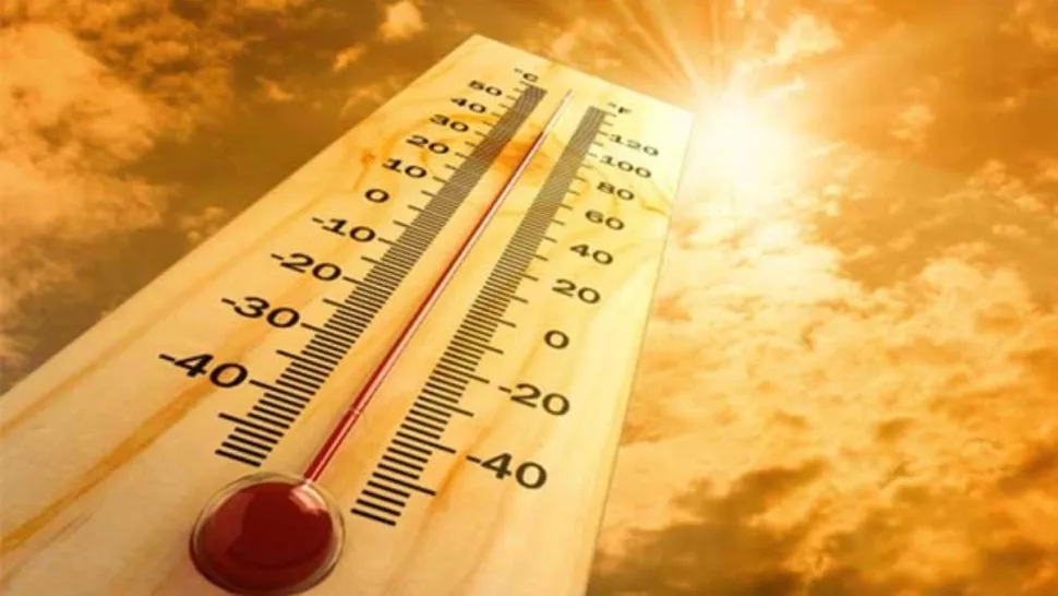 أحدث الأخبار