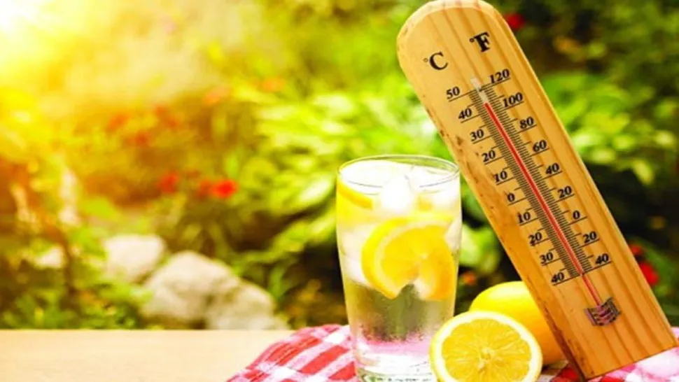 أحدث الأخبار