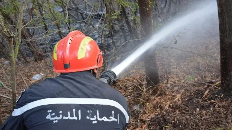 أحدث الأخبار