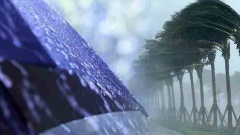 أحدث الأخبار
