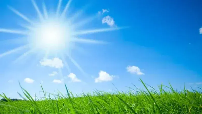 أحدث الأخبار