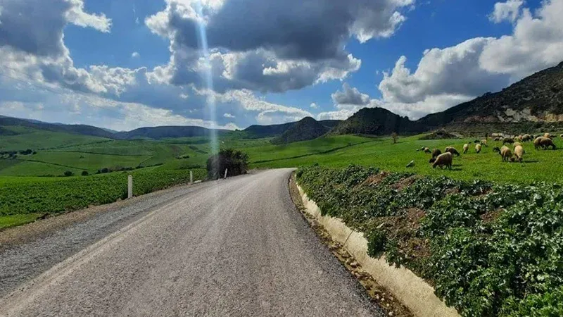 طقس مغيّم اليوم مع أمطار في هذه المناطق