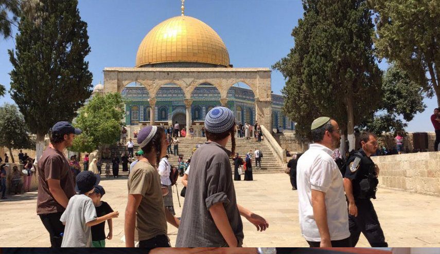 296 مستوطن "اقتحموا" باحات المسجد الأقصى هذا الأسبوع