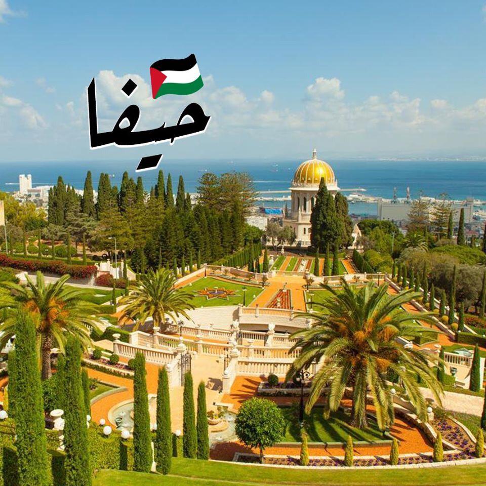 صور من فلسطين