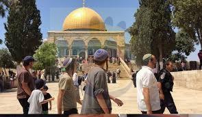 أكثر من 2500 مستوطن اقتحموا المسجد الأقصى منذ بداية "عيد العرش"