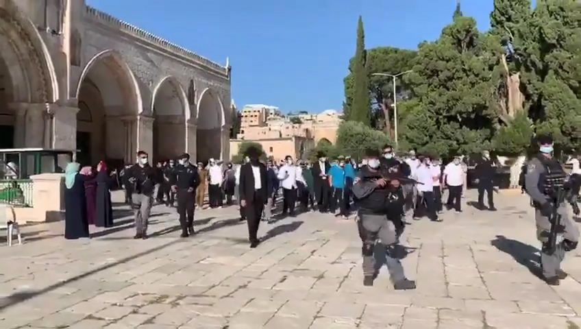 شاهد: عشرات المستوطنين يقتحـمون باحات المسجد الأقـصى قبل قليل