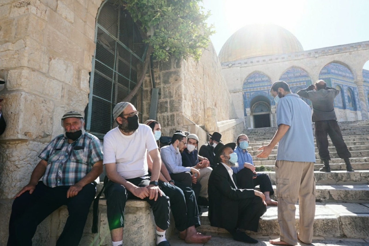286 مستوطنا اقتحموا باحات المسجد الأقصىى هذا الأسبوع
