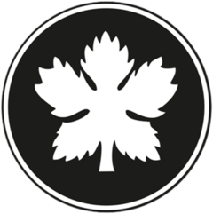 السلاح العام