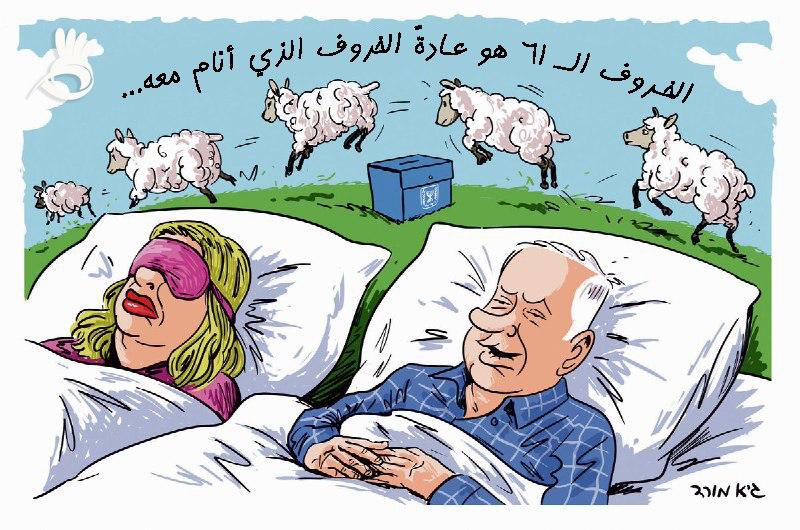 الخروف رقم 61