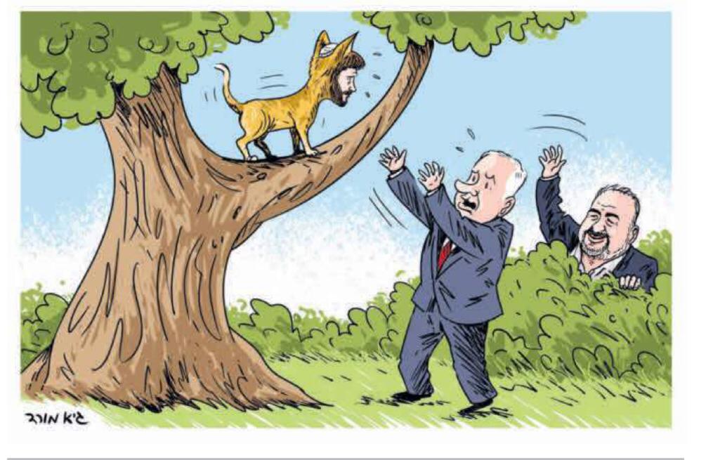 كمائن سياسية