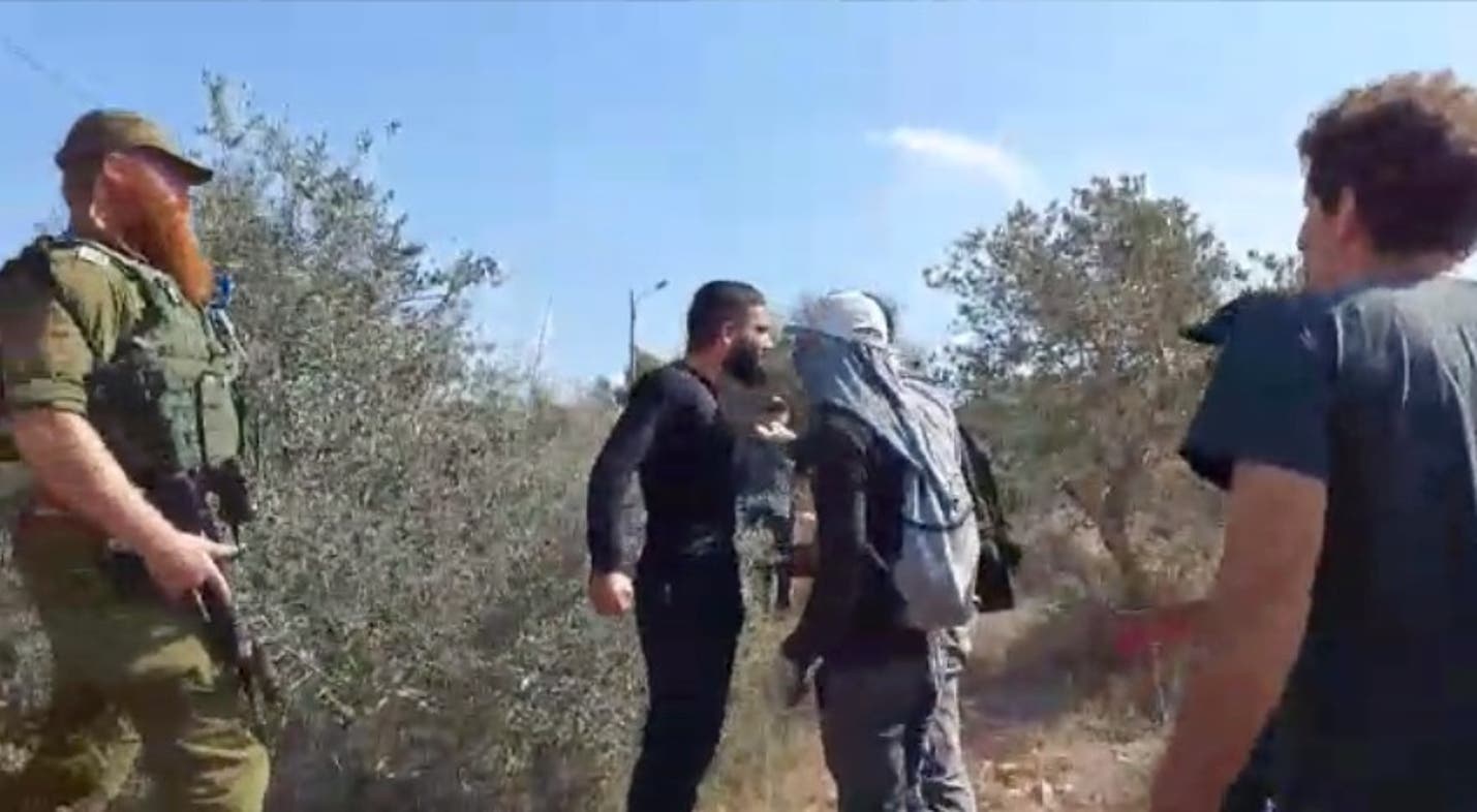 مُستوطن يُهاجم ناشطاً يُساعد الفلسطينيين في قطف الزيتون