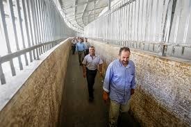 وهم السلام الإقتصادي