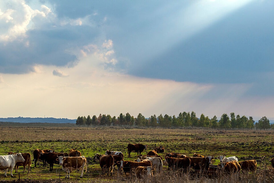 لأول مرة.. نشر تفاصيل خطة غير مسبوقة للاستيطان في الجولان