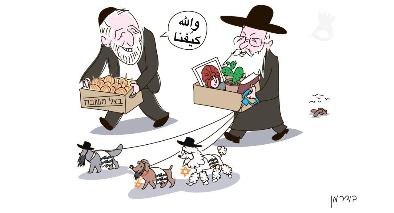 المنظومة القضائية تعفو عن اللصوص المُتسلسلين