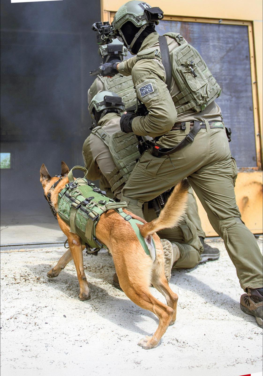 "كوخافي" يطلق مسار تدريب جديد للجيش