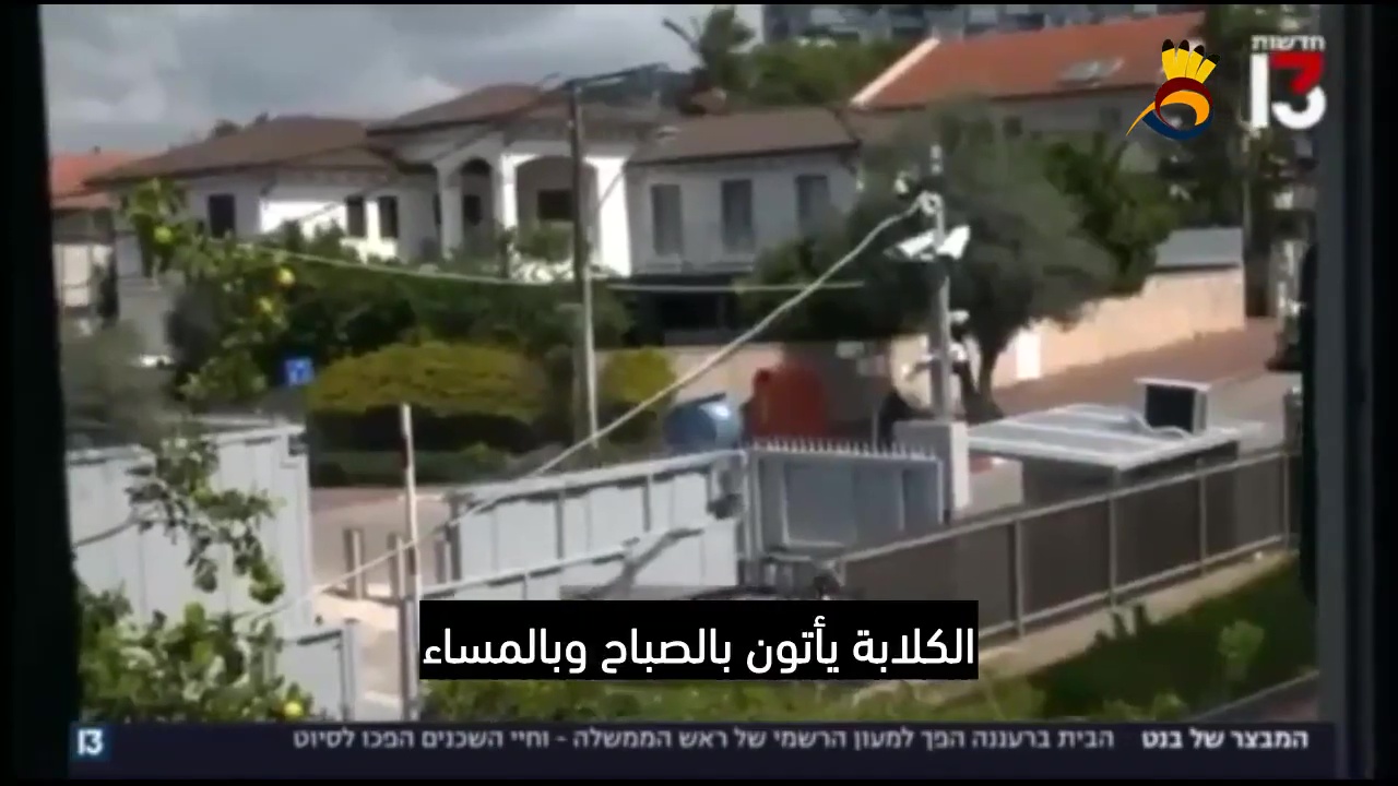 كيف حول بينت جيرانه إلى سُجناء؟