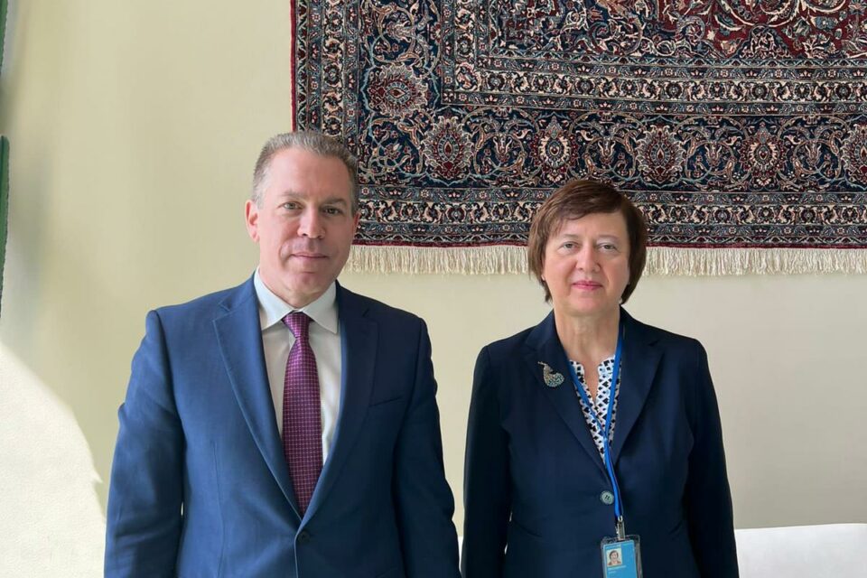 "جلعاد أردان" يشتكي حزب الله لمجلس الأمن