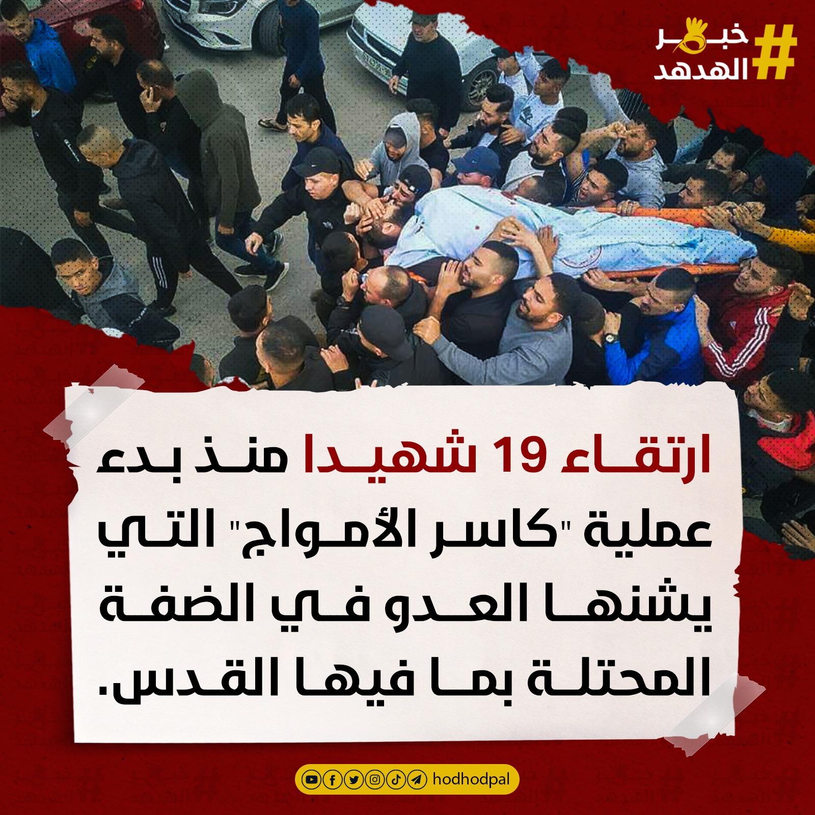 #خبر_الهدهد