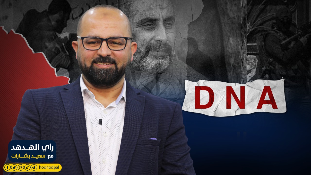 رأي الهدهد: D N A