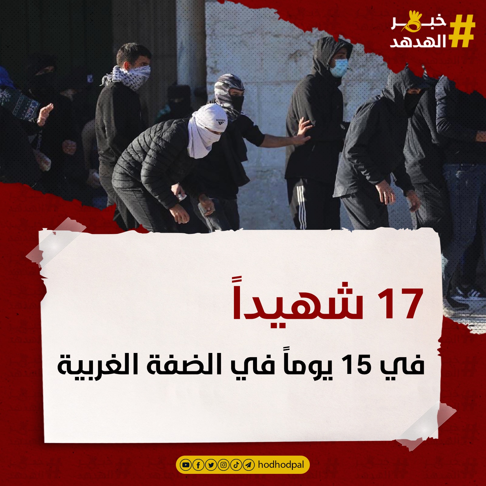 #خبر_الهدهد