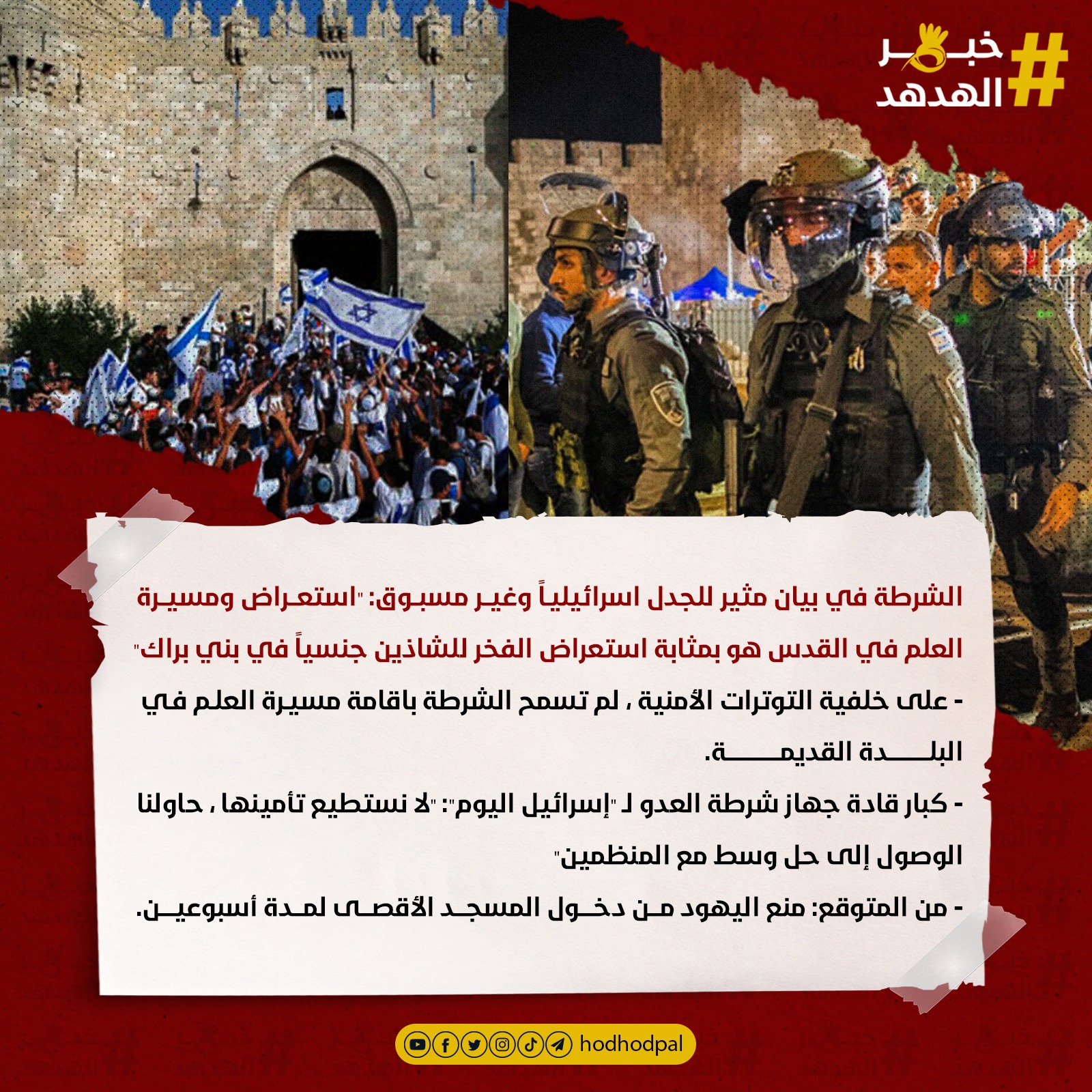 #خبر_الهدهد