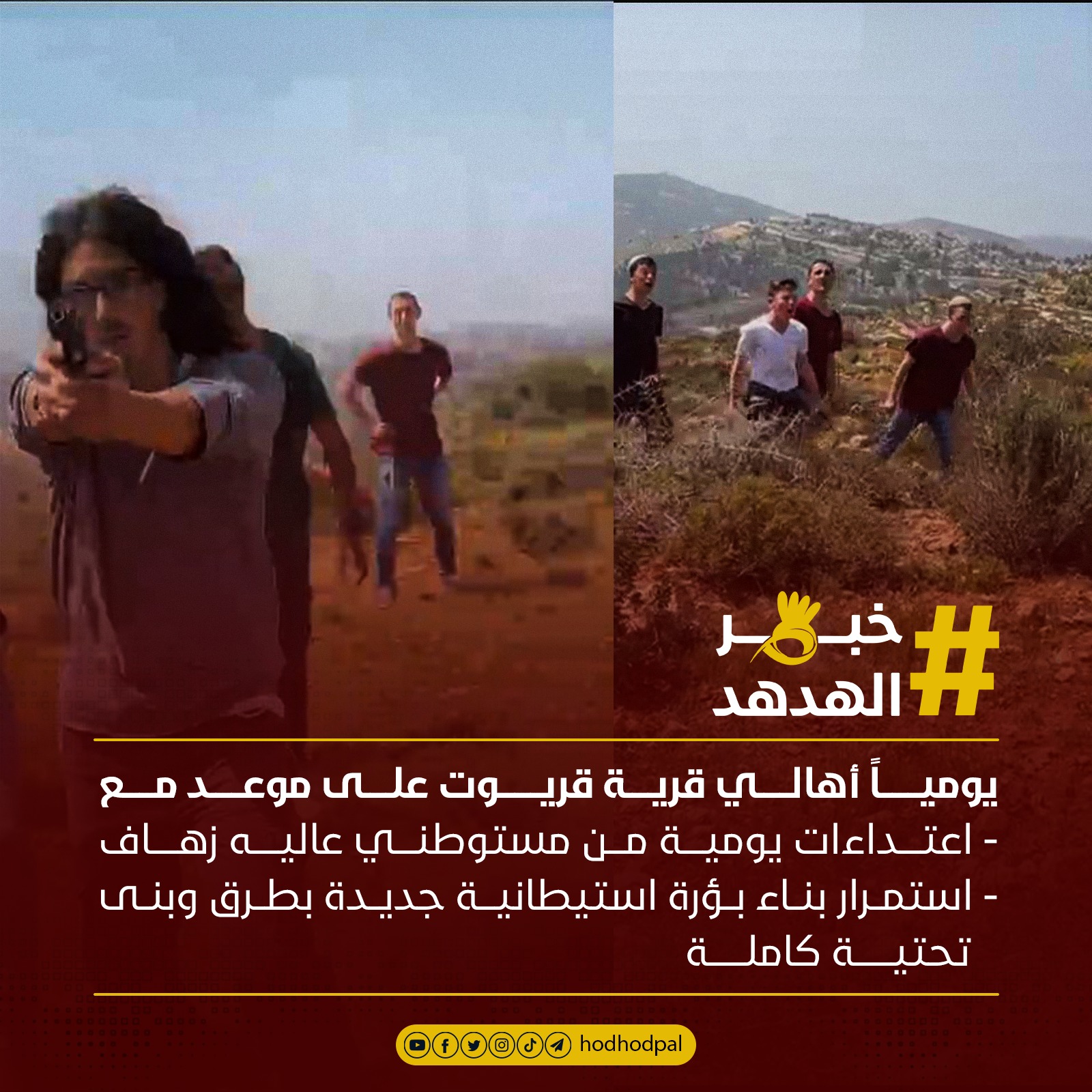 #خبر_الهدهد