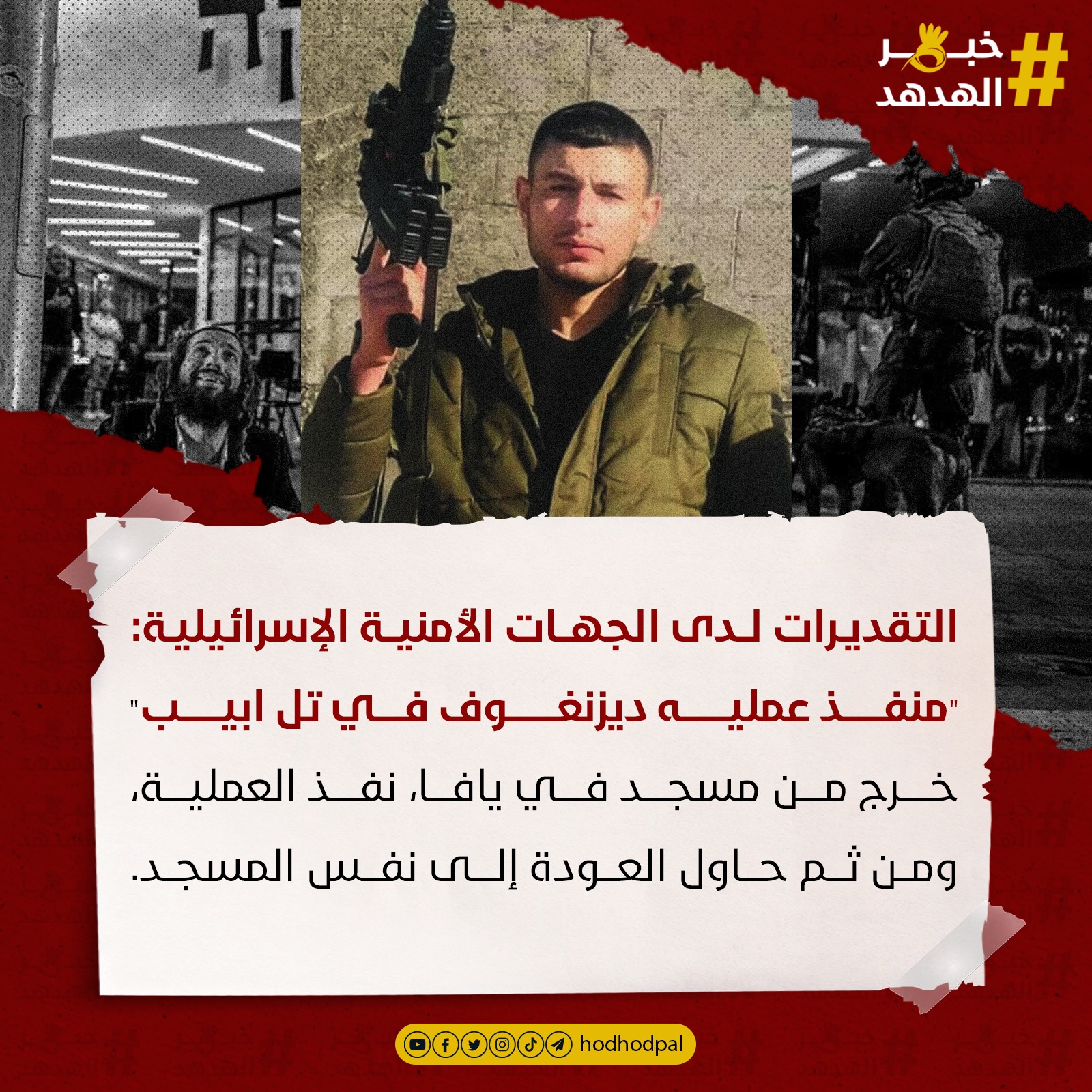 #خبر_الهدهد