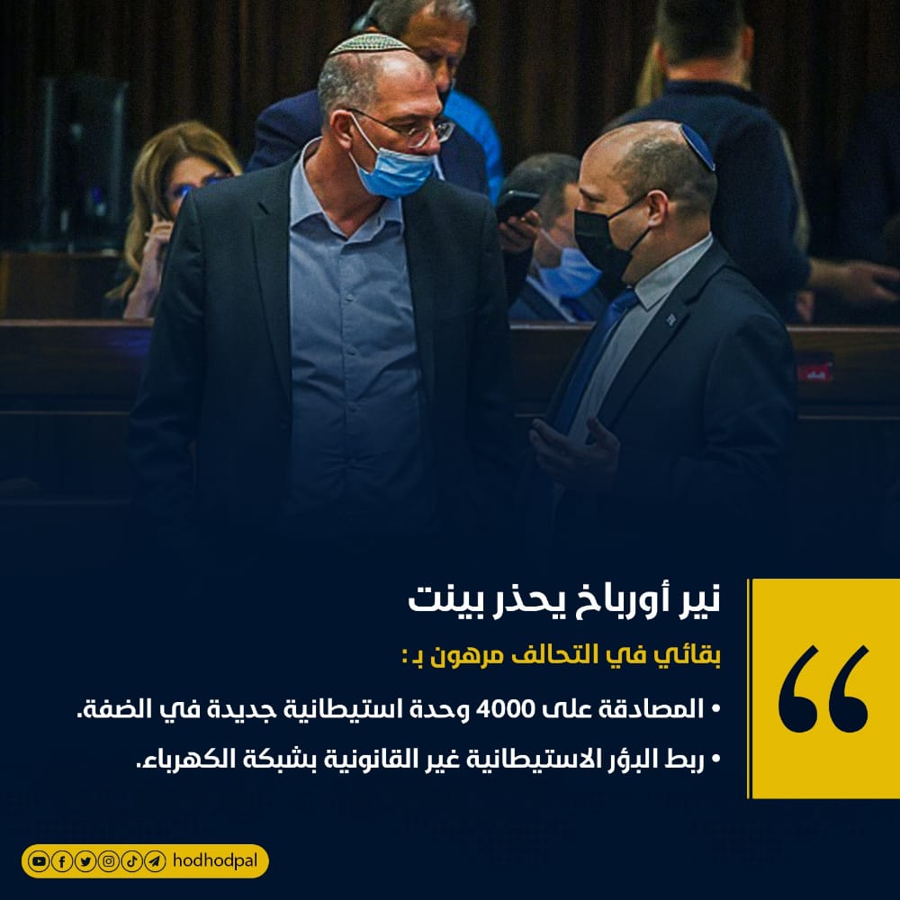 #شبكة_الهدهد