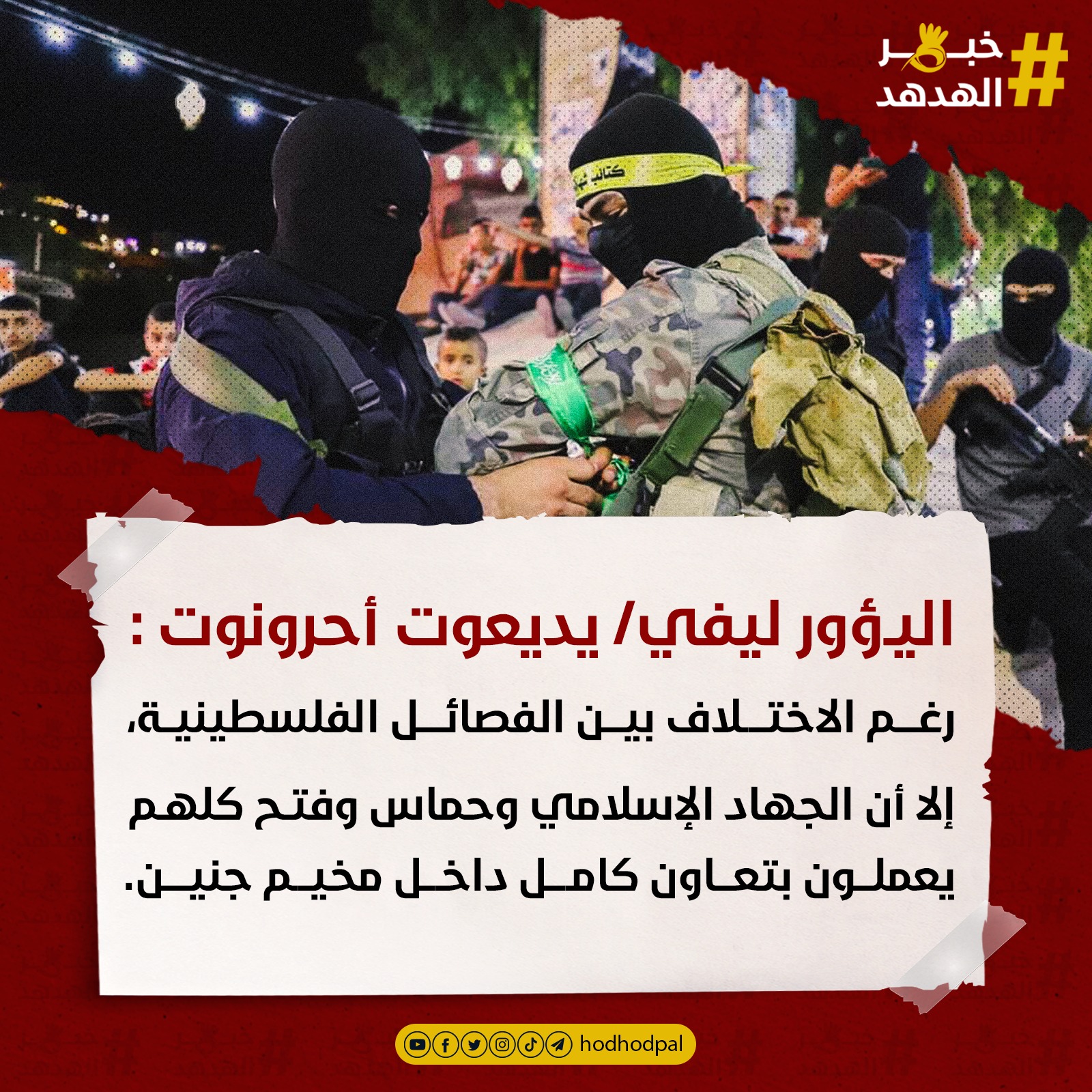 #خبر_الهدهد