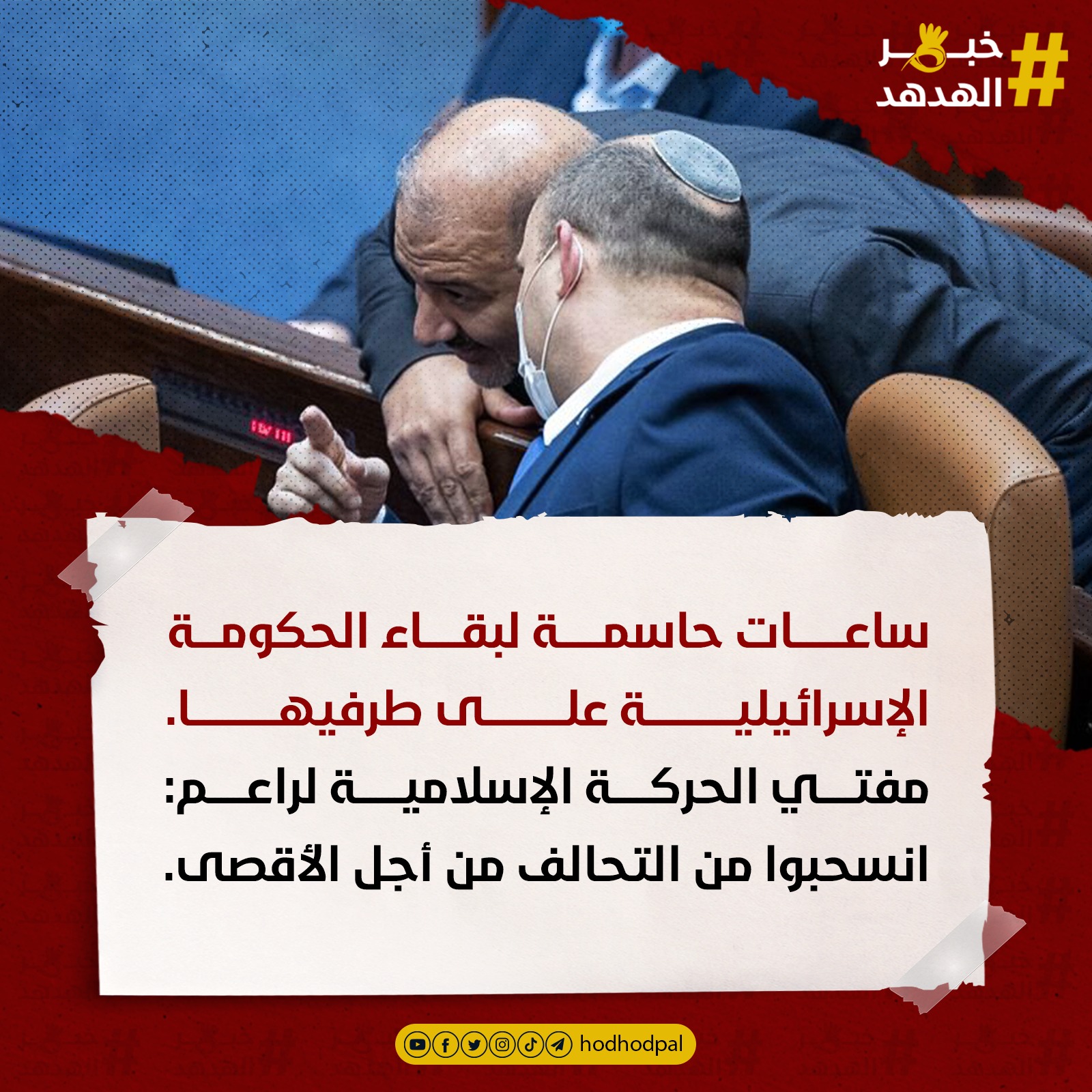 #خبر_الهدهد