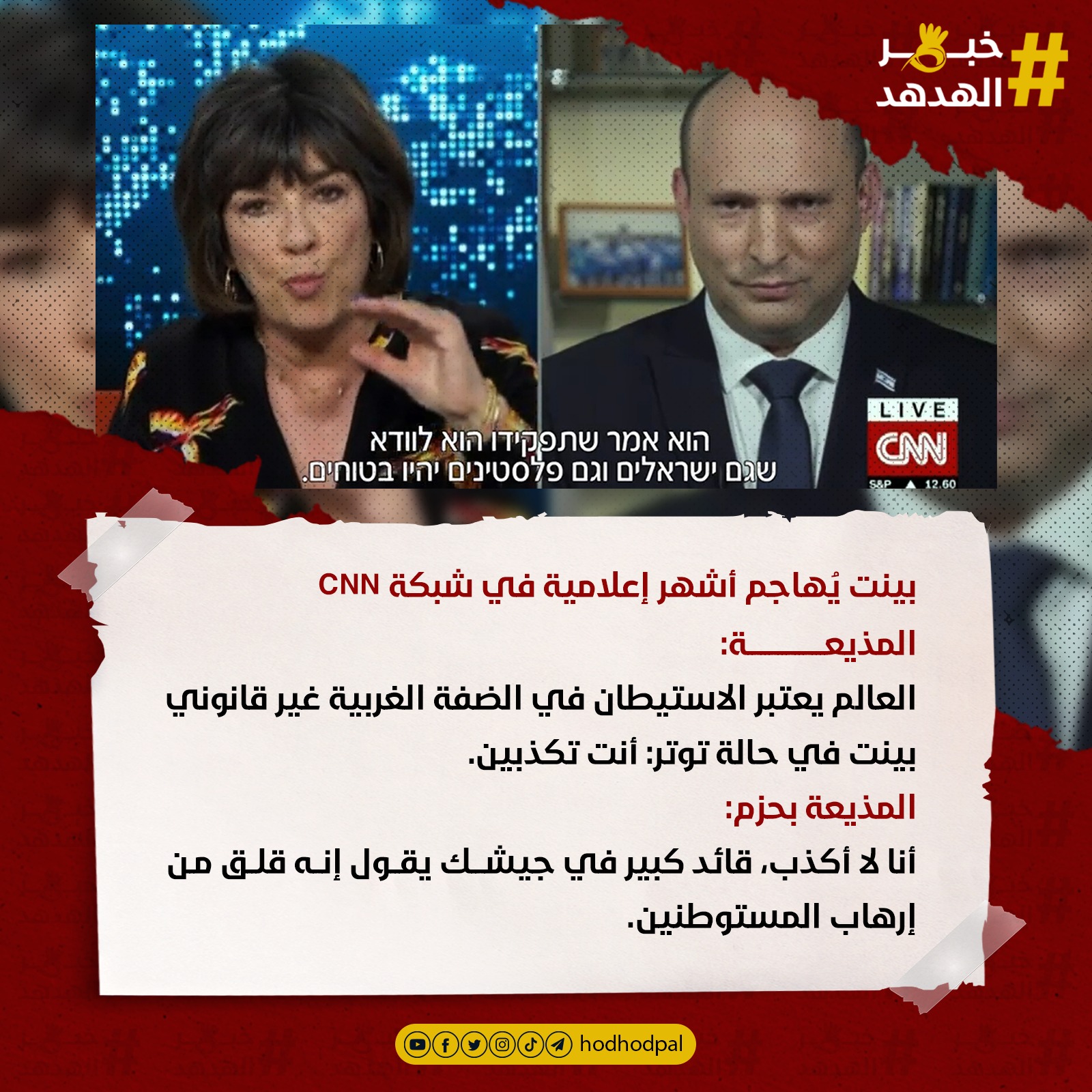 #خبر_الهدهد