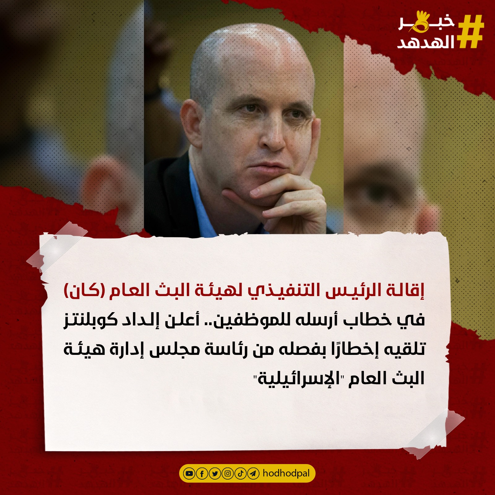 #خبر_الهدهد
