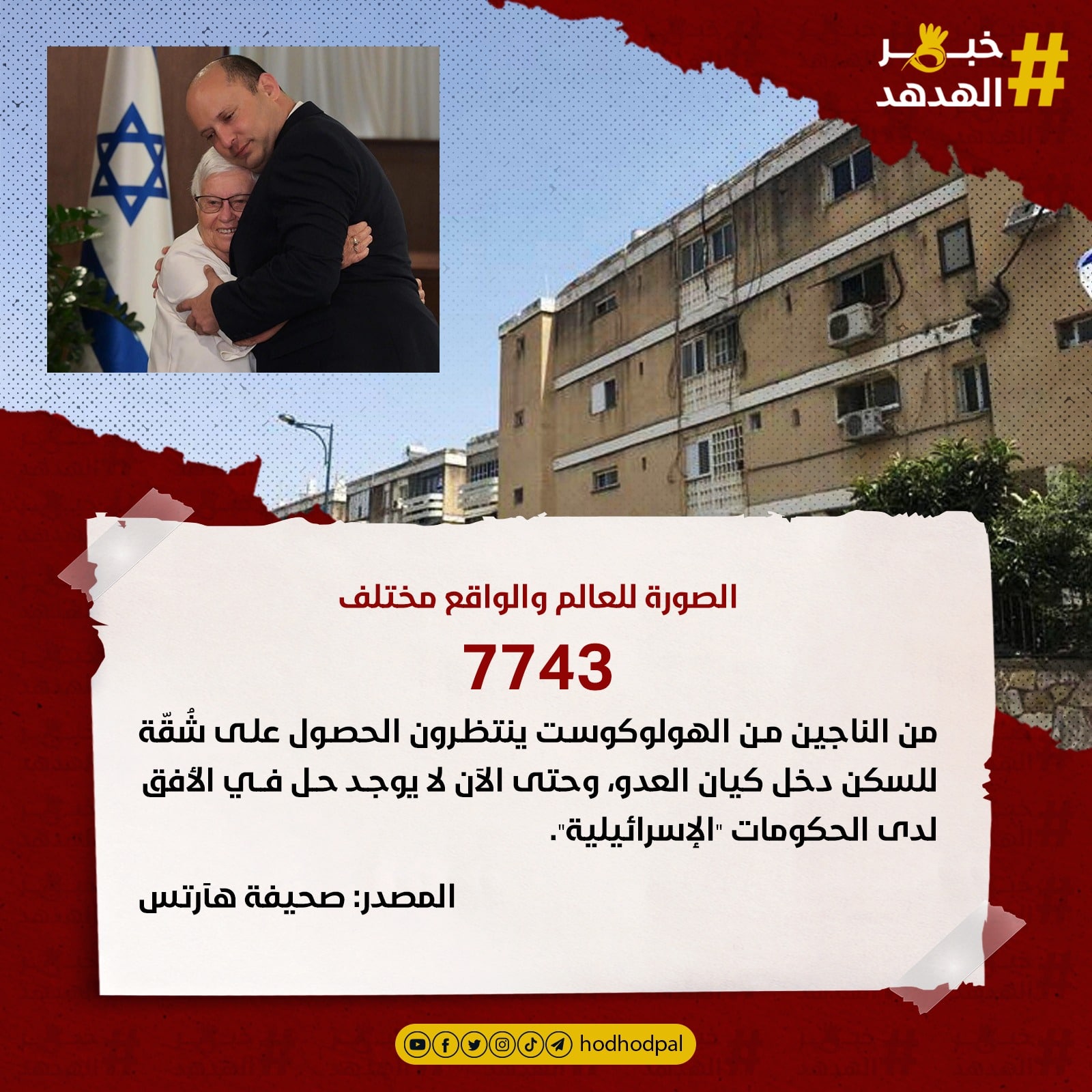 #خبر_الهدهد