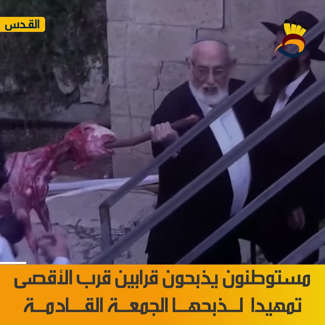 مستوطنون يذبحون قرابين تمهيداً لذبحها في المسجد الأقصى