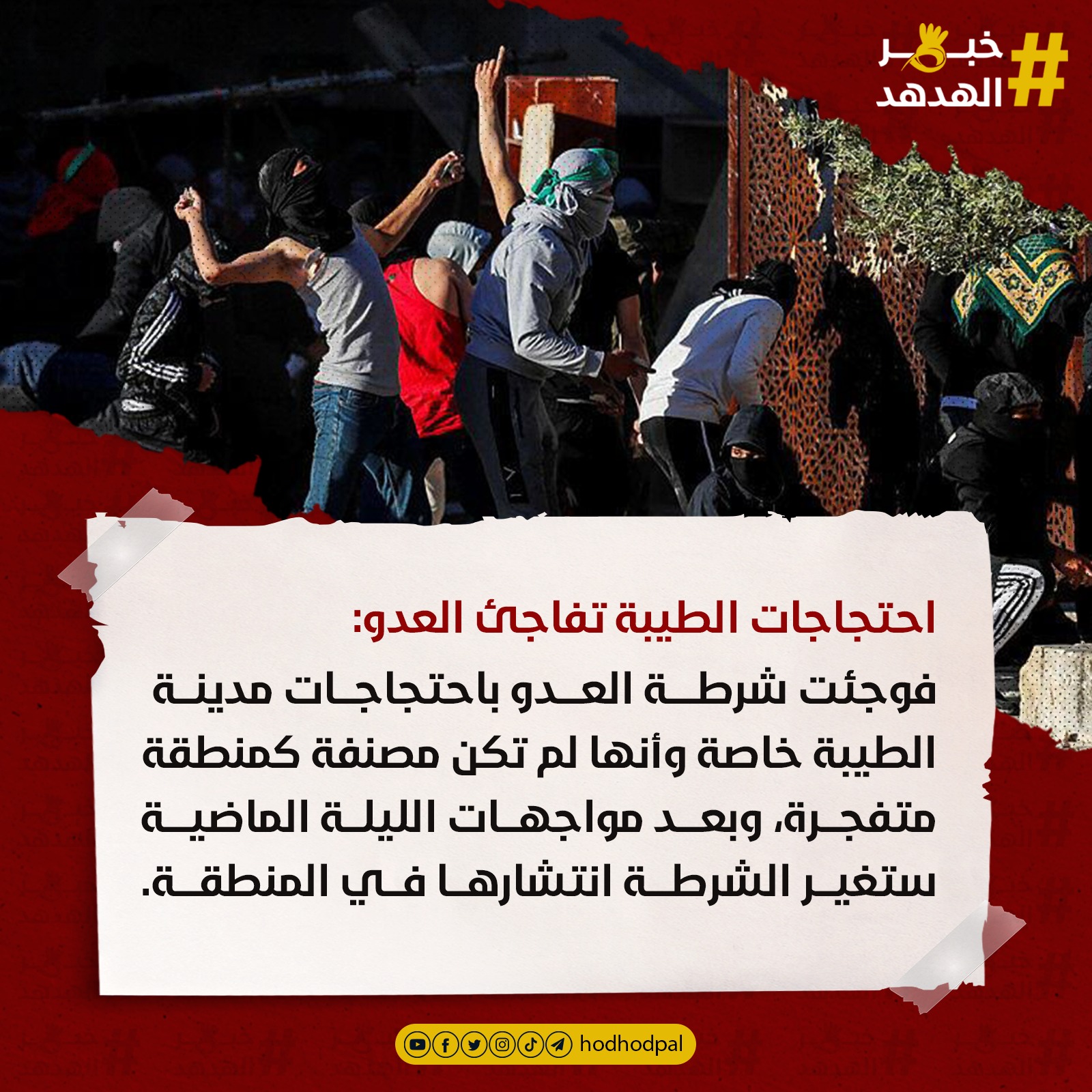 #خبر_الهدهد