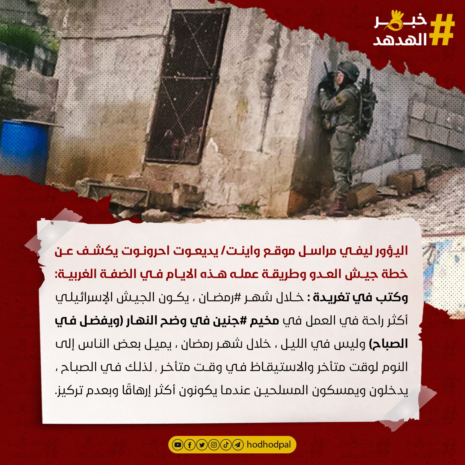 #خبر_الهدهد