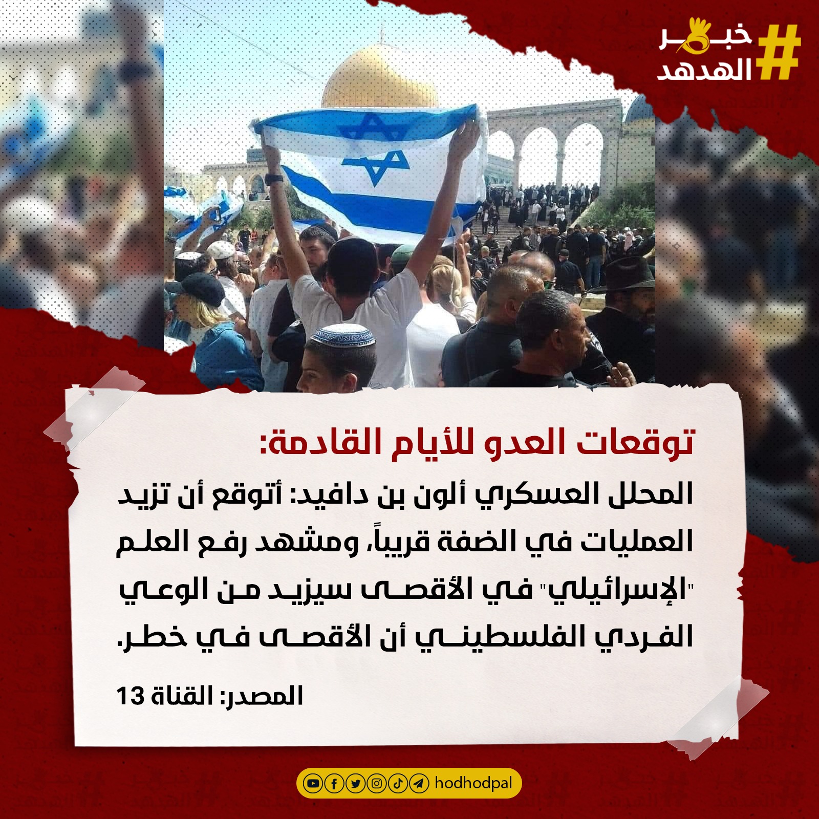 #خبر_الهدهد