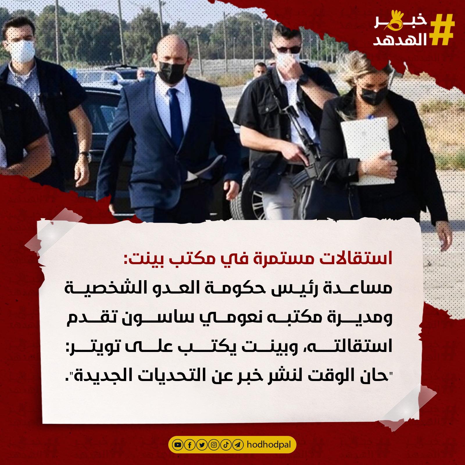 #خبر_الهدهد