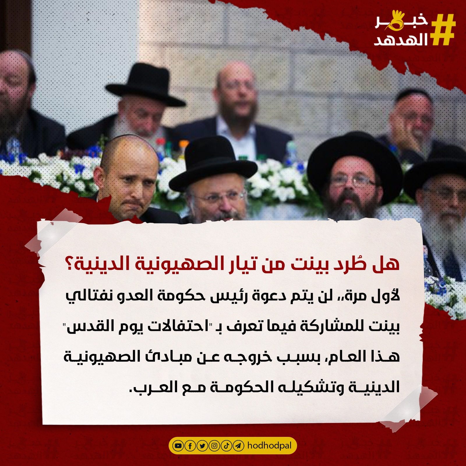 #خبر_الهدهد