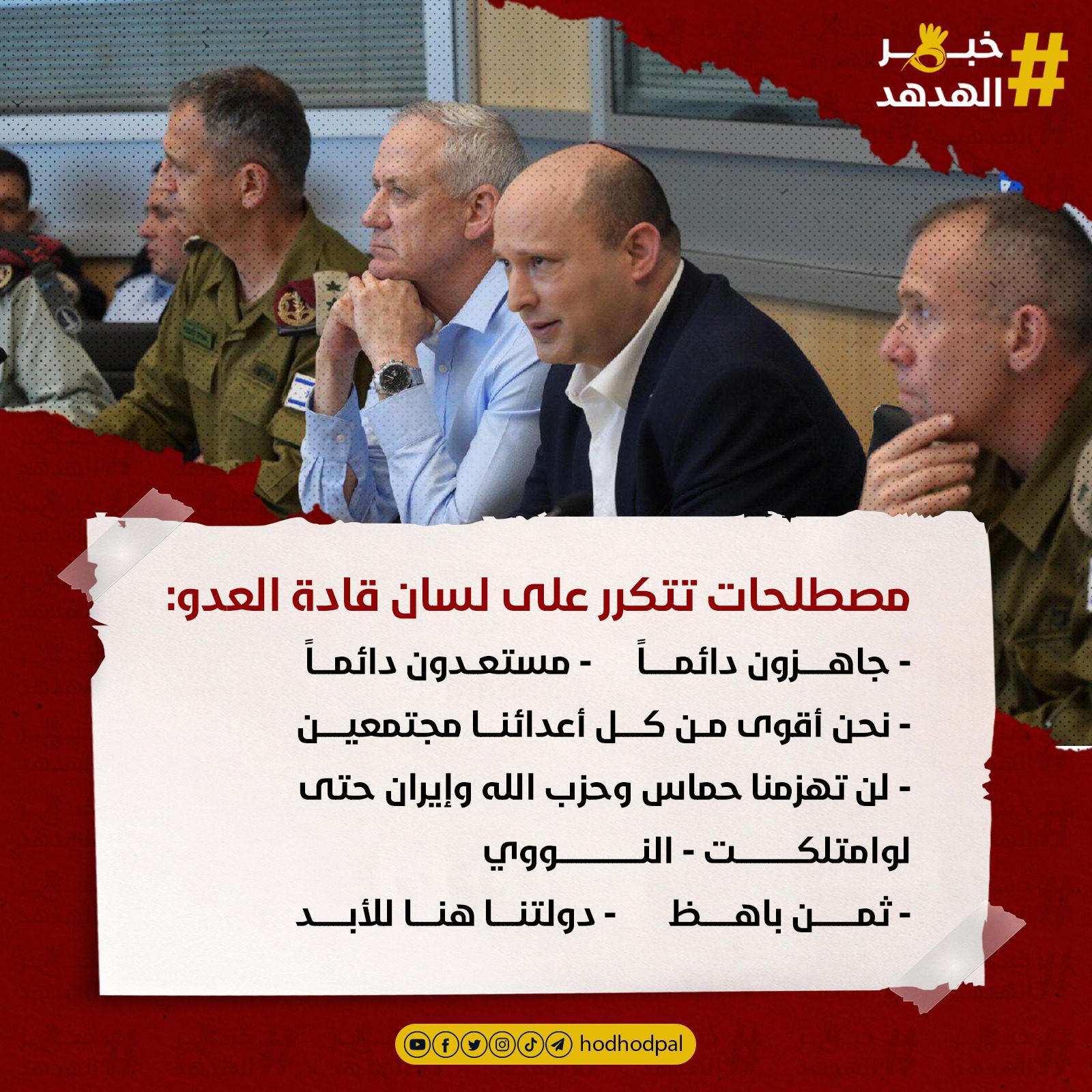 #خبر_الهدهد