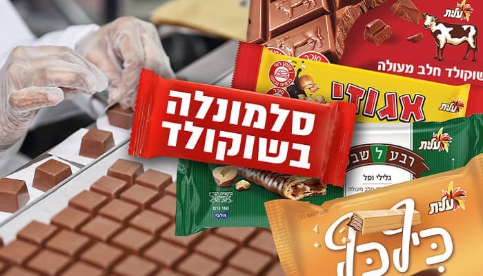 السالمونيلا تُسبب خسارة لشتراوس تُقدر بثلث ربحها