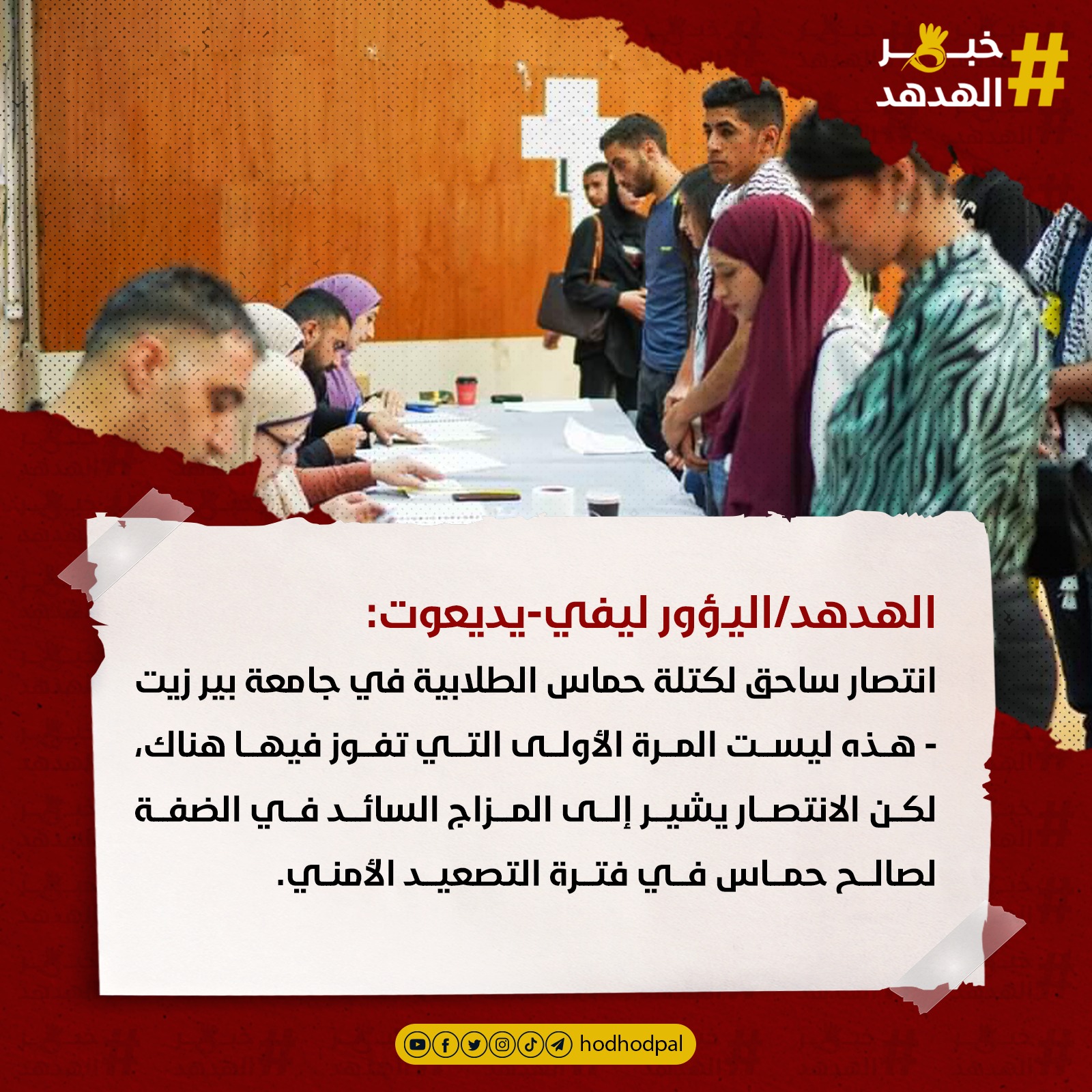 #خبر_الهدهد