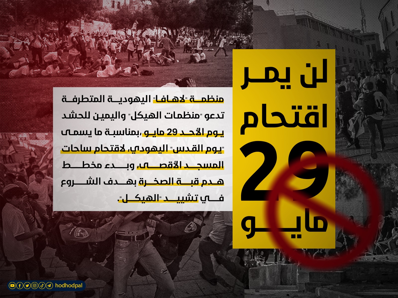 #الاقتحام_القادم